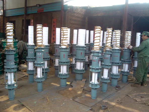 �����ֳ�