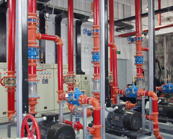 �����ֳ�